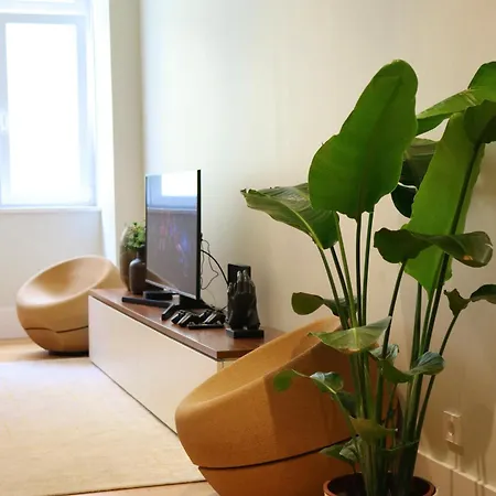 Center Guest house